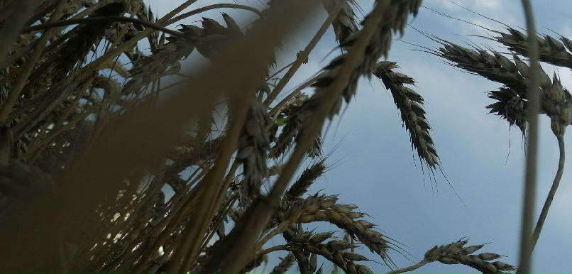 Илья Орлов | Москва