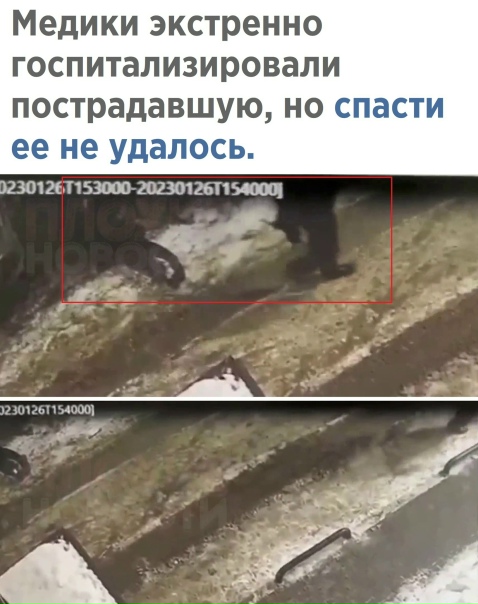 Ужас. В любом случае, убийство не может быть оправдано, чтобы между ними не произошло.