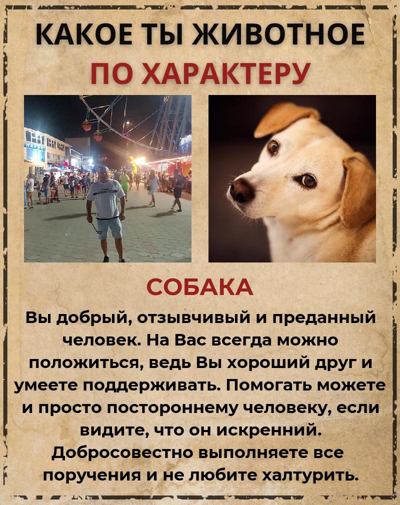 Сергей Константинович | Щекино