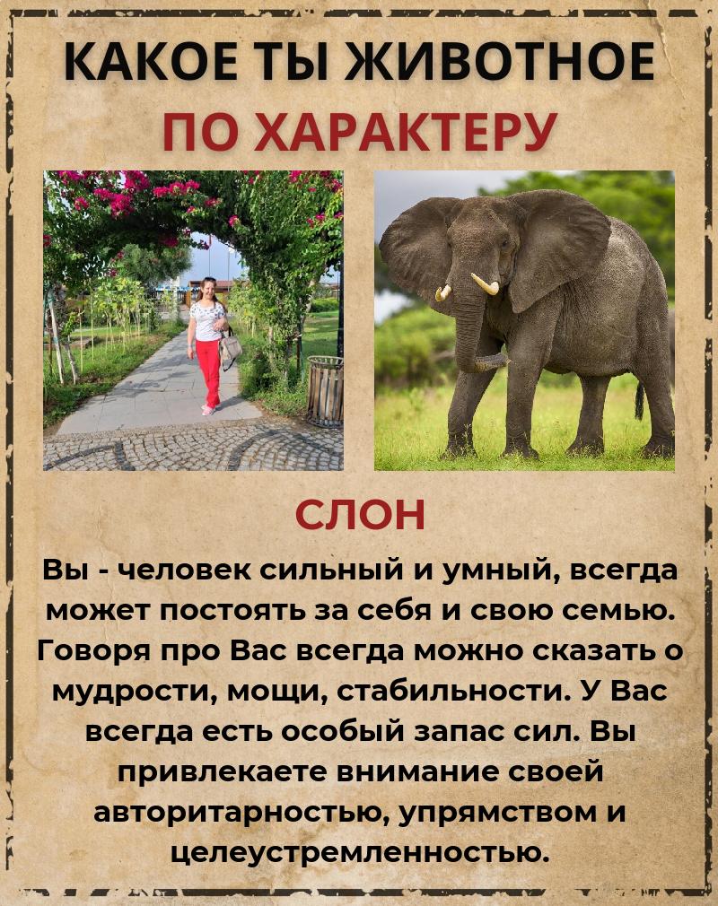 Гульназ Сафина | Набережные Челны