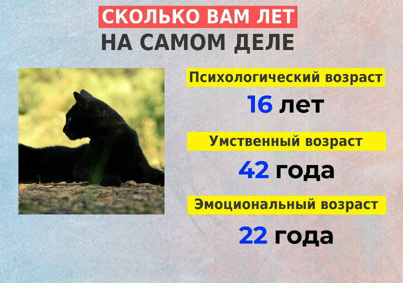 Светлана Василенко | Тольятти