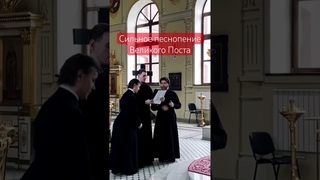 Сильное песнопение #батюшка #православие #православие #церковь #рекомендации #рекомендации2024