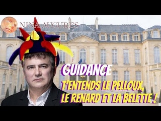 T'entends le Pelloux, le renard et la belette ! 30/06/2022