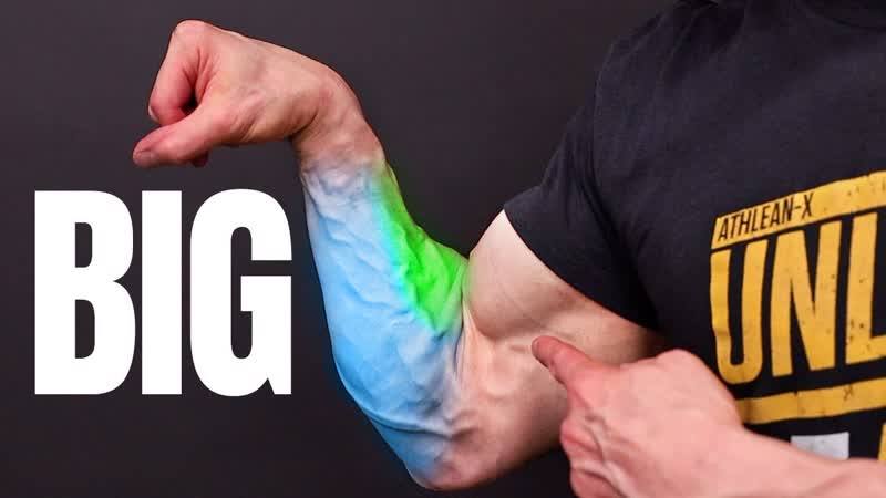 6 Forearm Exercises You Can Do