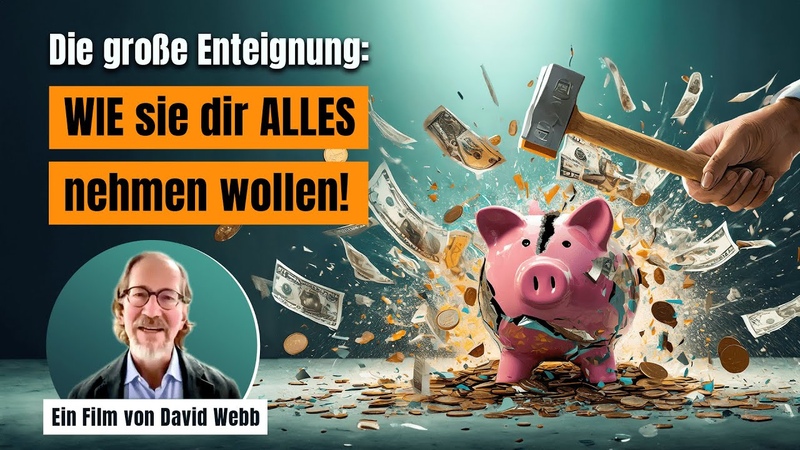 Die große Enteignung: WIE sie dir ALLES nehmen wollen ( Ein Film v. David