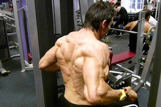 Helmut Strebl - back definition