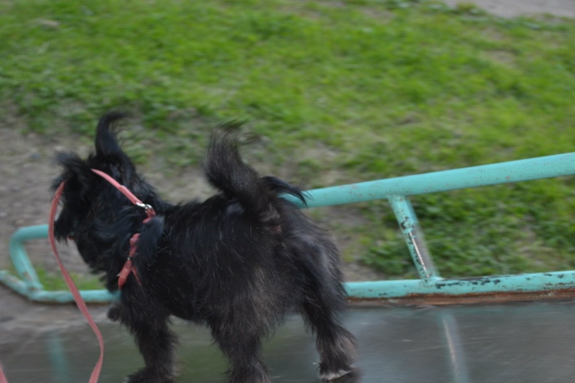 Мария Федосеева | Пермь