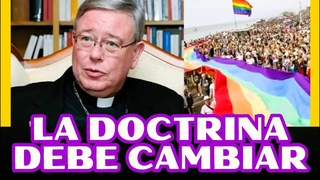 El Encargado del Snodo, Cardenal Holleric declara: La Ordenacin Sacerdotal de Mujeres es Posible