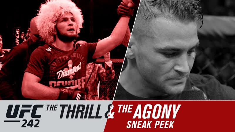 UFC 242: The Thrill and the Agony Sneak