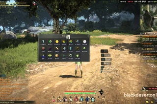 [Гайд] Black Desert - элементы интерфейса