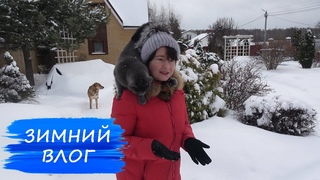 Нас ЗАМЕЛО! Чистим снег, утепляем крышу, спасаем ели Коника из магазина! Зимний ВЛОГ.